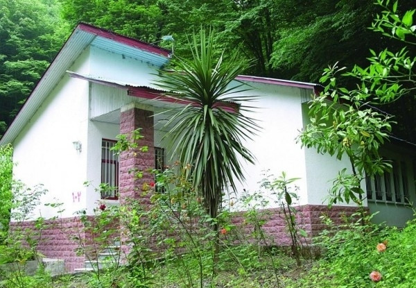 هتل جهانگردی