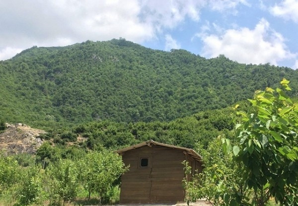هتل زیارت
