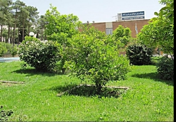 هتل جهانگردی