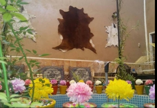 هتل خانه صفا