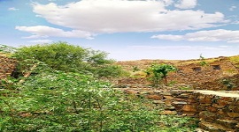 مهمانپذیر ارگ سنگی سنگان