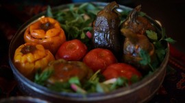 خانه مسافر روزهای طلایی