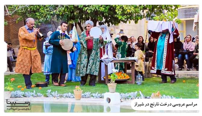 عروسی درخت نارنج در شیراز