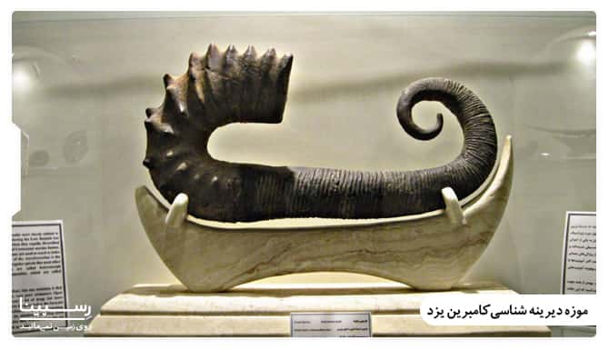 موزه دیرینه شناسی کامبرین یزد