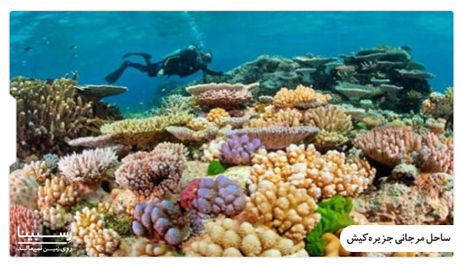 ساحل مرجانی در تور کیش از شیراز ساحل مرجانی در تور کیش از شیراز