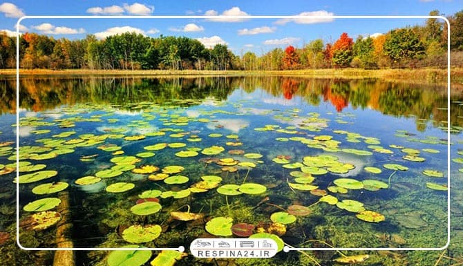 تور گیلان رشت از مشهد