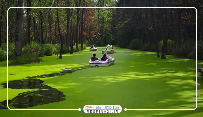 تور گیلان از مشهد