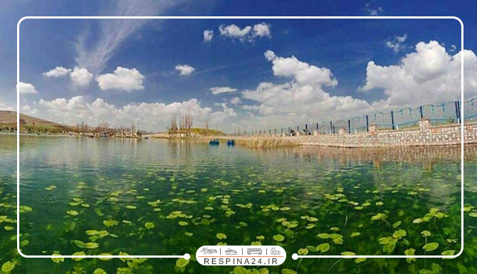 تور مشهد به کرمانشاه نیلوفر آبی کرمانشاه