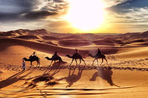 تور کویر پلوند