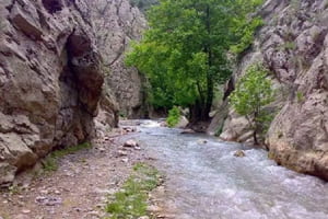 تور تربت جام از مشهد