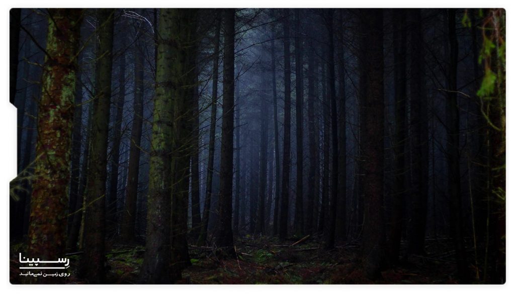 جنگل درینگ وودز انگلستان