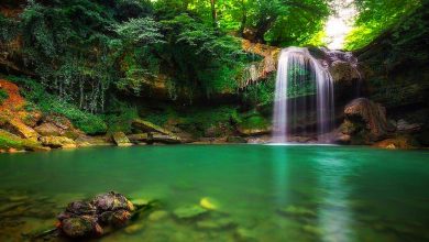 بهترین جاهای دیدنی اطراف تهران برای پیک نیک