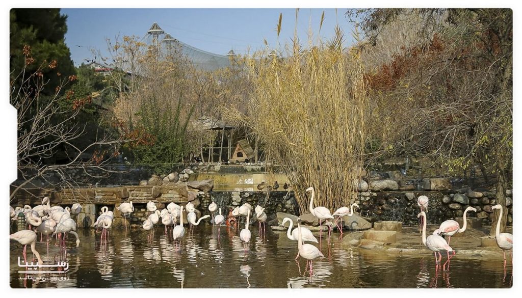 آیا باغ پرندگان تهران جمعه ها باز است