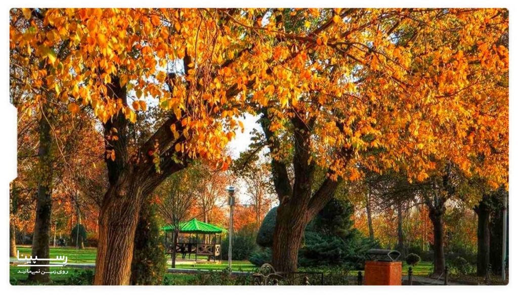 پاییز پارک لاله تهران 