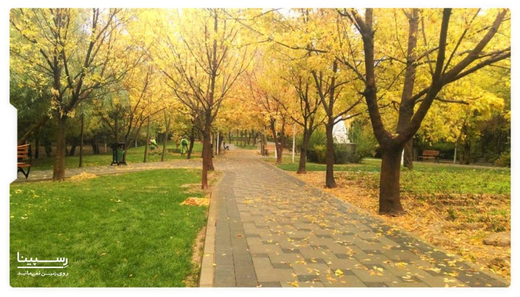 پوشش گیاهی پارک لاله تهران