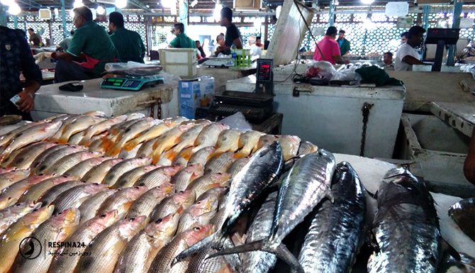 بازار ماهی فروشان در ساحل میرمهنا کیش