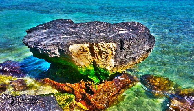 صخره های ساحل مرجان کیش