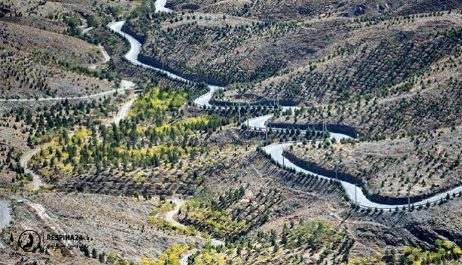 کوه پارک مشهد از نمای بالا