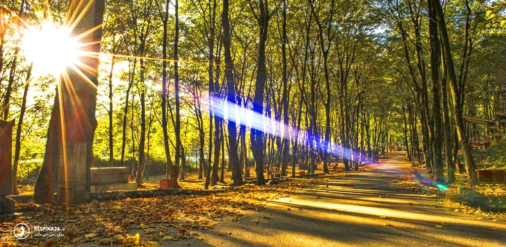فضای پیاده روی پارک میزرا کوچک خان مشهد