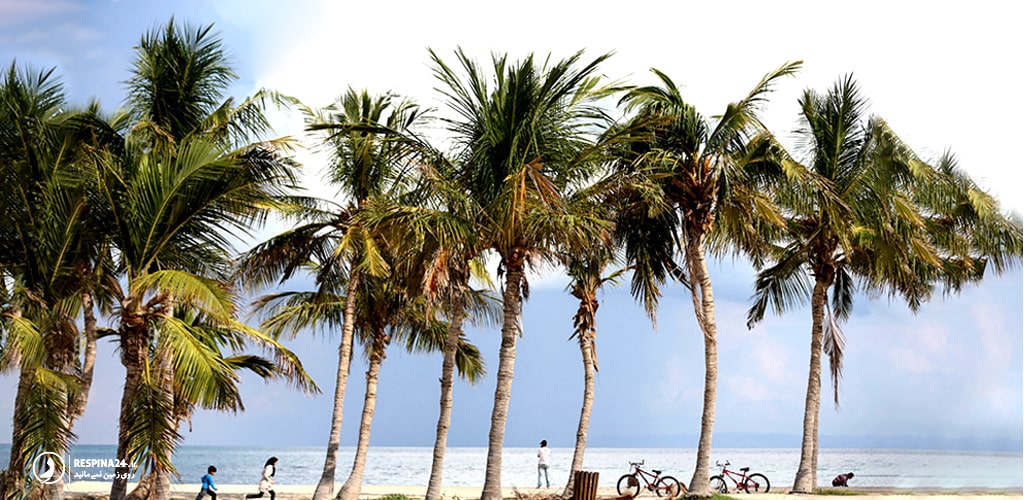 ساحل درختان نارگیل از بهترین مکان های تفریحی و جاهای دیدنی کیش