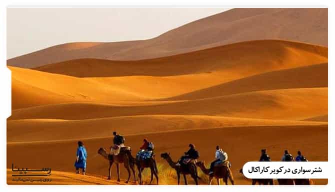 شترسواری در کویر کاراکال یزد شترسواری در کویر کاراکال یزد