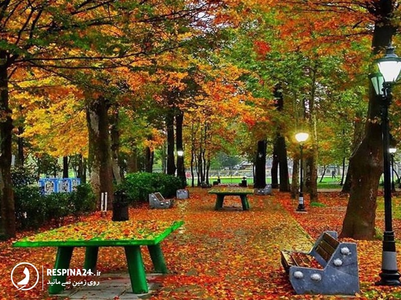 نمای باغ محتشم رشت در فصل پاییز