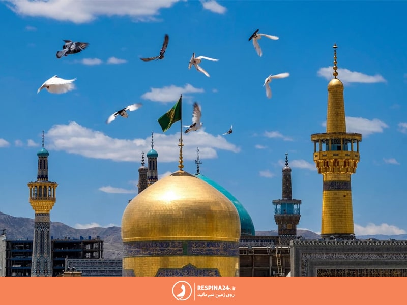 کبوتران امام رضا در حال پرواز در دور حرم و گنبد ها هستند.