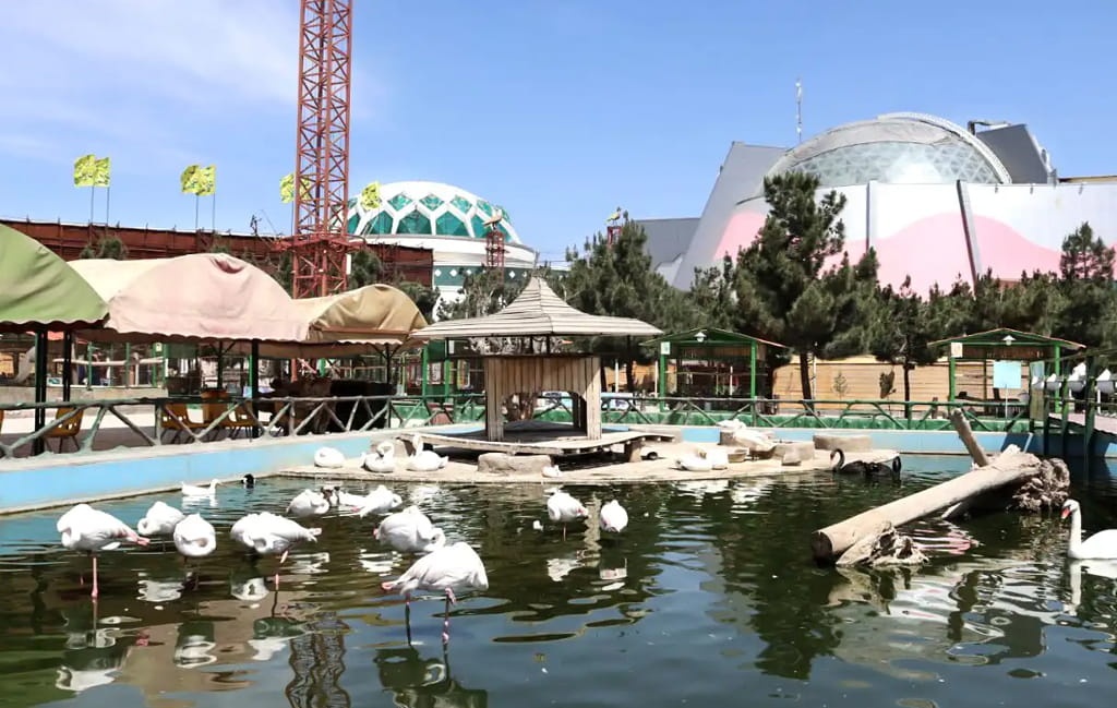 باغ پرندگان مشهد